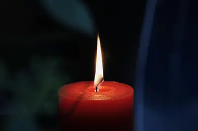 Best Candles 2026: Home Fragrances That Transform Your Space