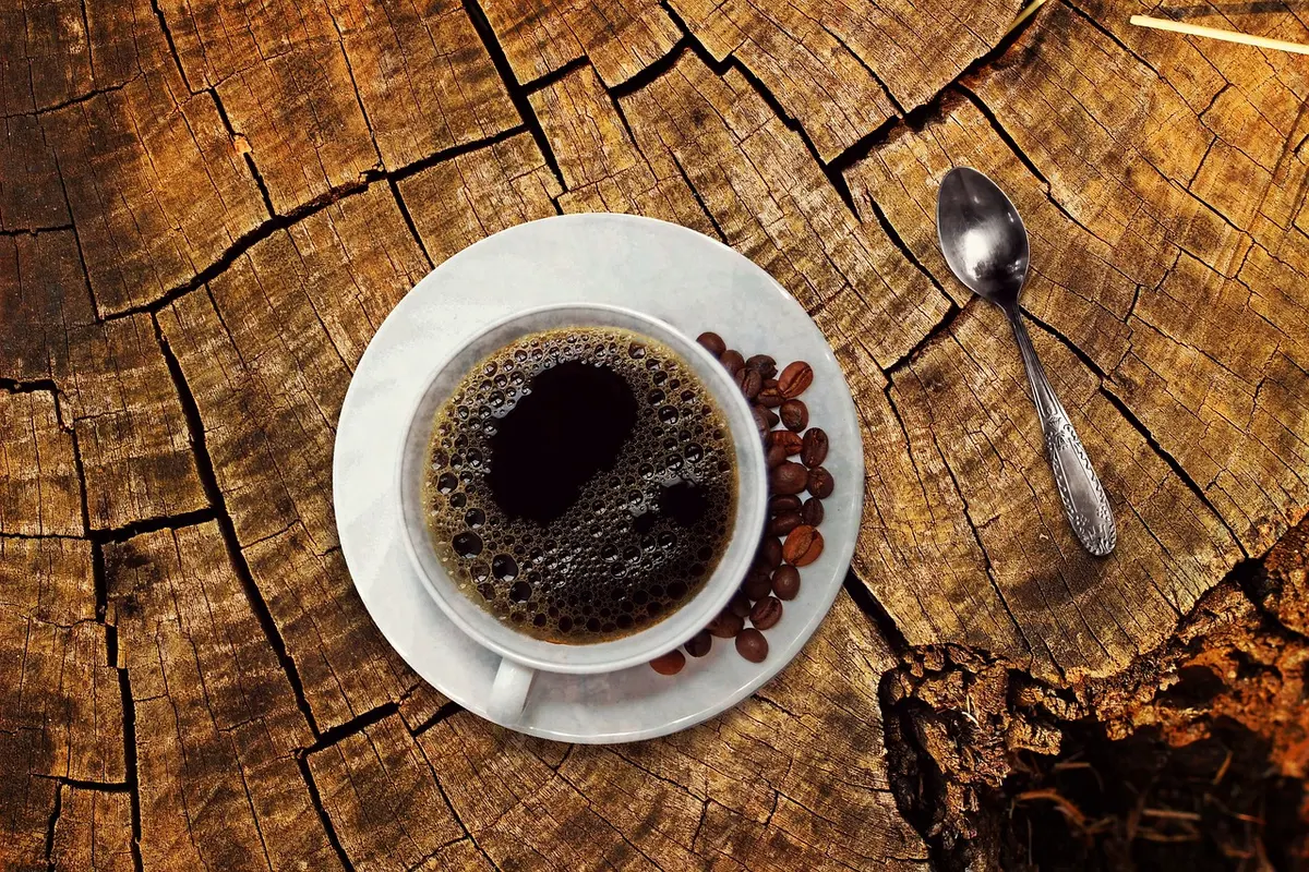 Best Coffee Makers Under $100