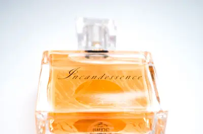 Best Colognes for Men 2026: Signature Scents That Get Compliments