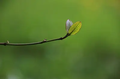 Eco-Friendly Product Guide