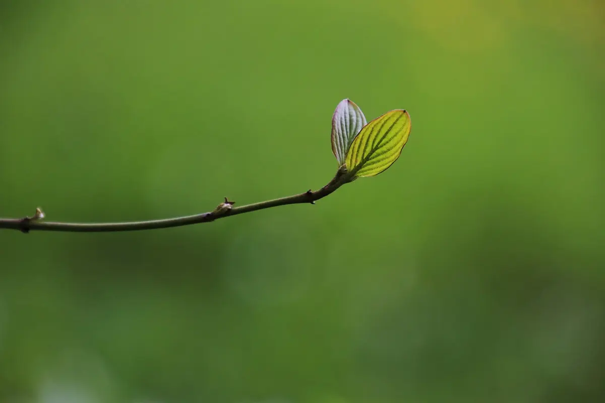 Eco-Friendly Product Guide