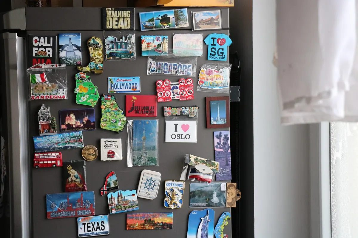 Best Refrigerators 2026: Keep Food Fresh Longer